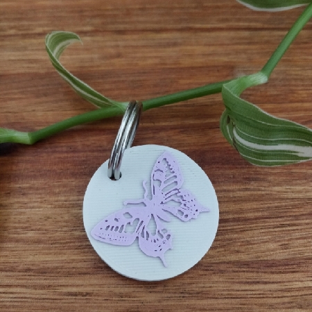 mariposa gris
