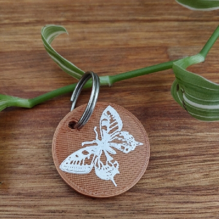 mariposa cobre