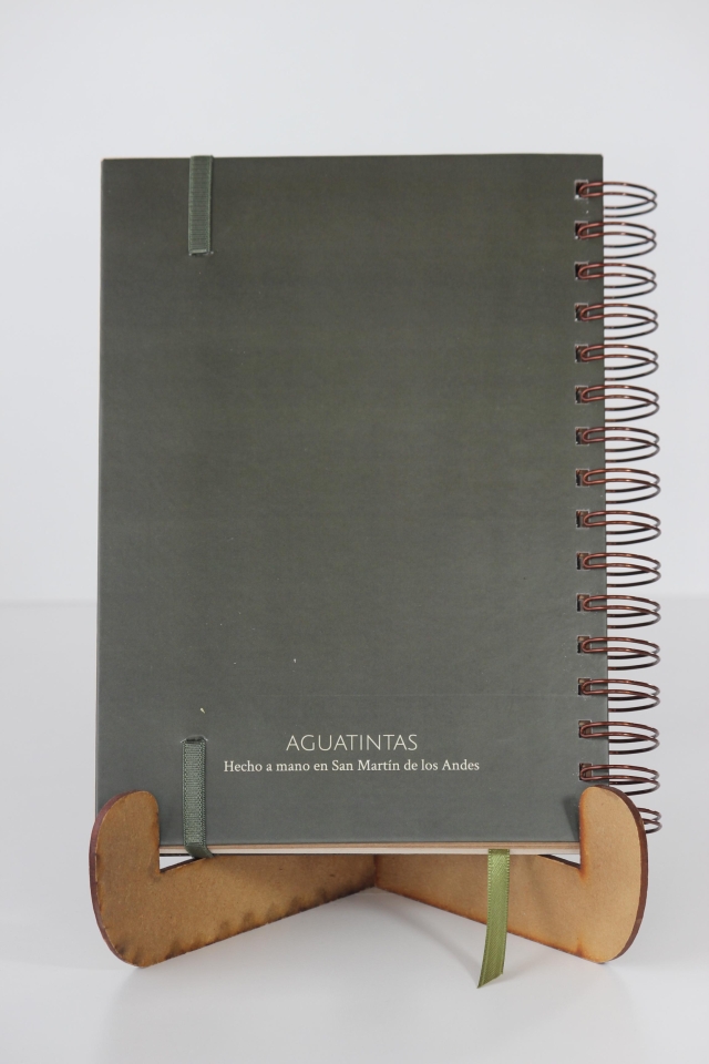 Agenda Volcán Lanín