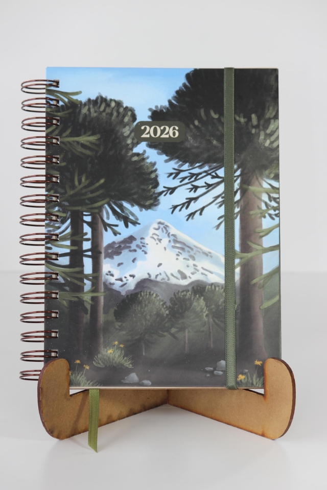 Agenda Volcán Lanín