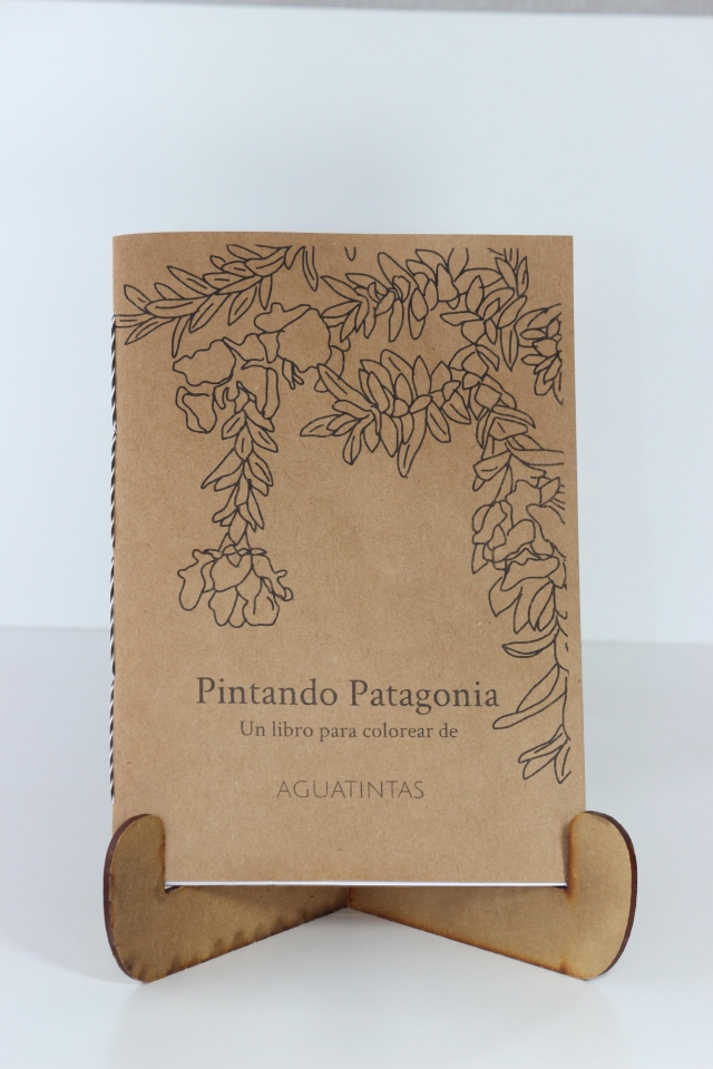 Pintando Patagonia